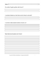 Arbeitsblätter-Amsel-1-4.pdf
